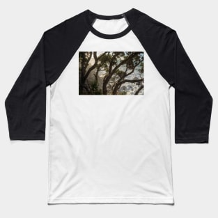 Mist through the trees. Baseball T-Shirt